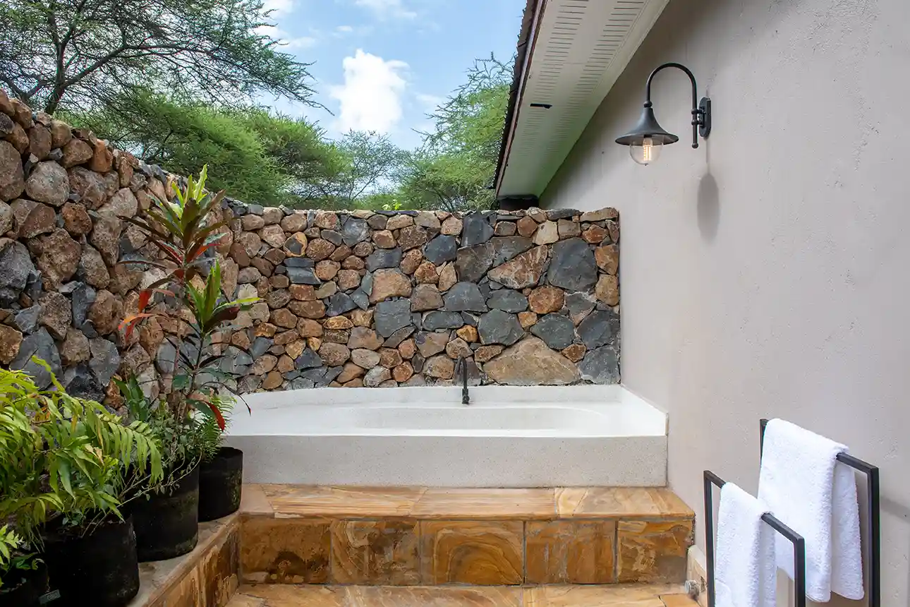 Hamerkop House 15