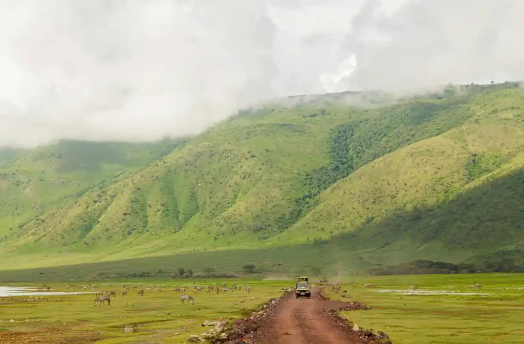 Kilimanjaro Lemosho