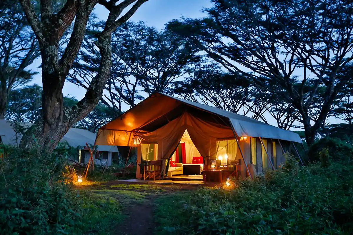 Lemala Ngoro