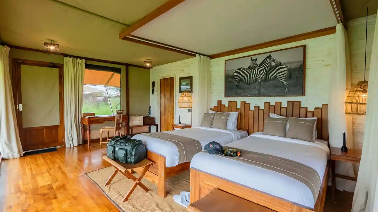 MINI SUITE TWIN