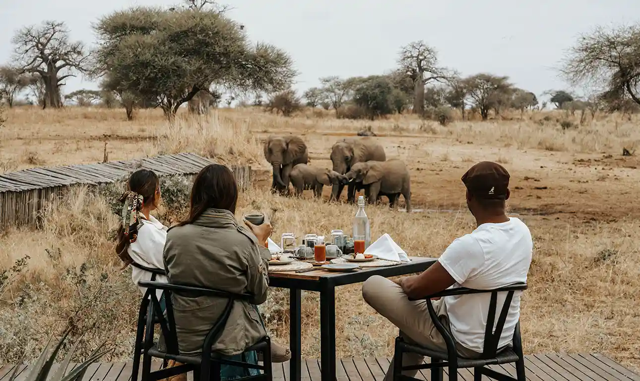 NIMALI TARANGIRE Lodge (3)