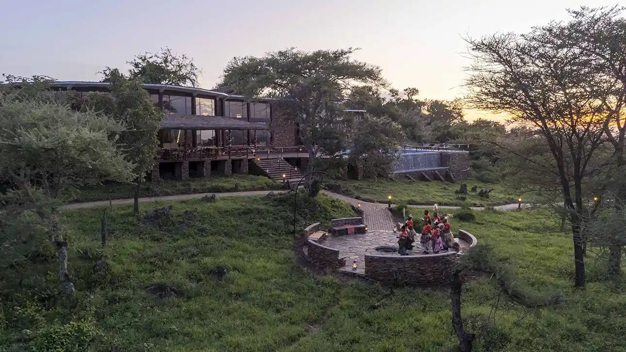 Serengeti Simba - Aerial -29