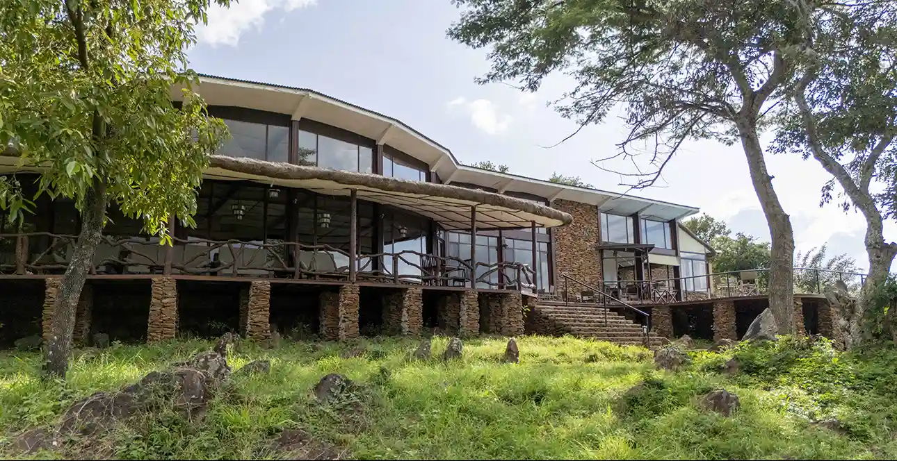Serengeti Simba - Aerial -9