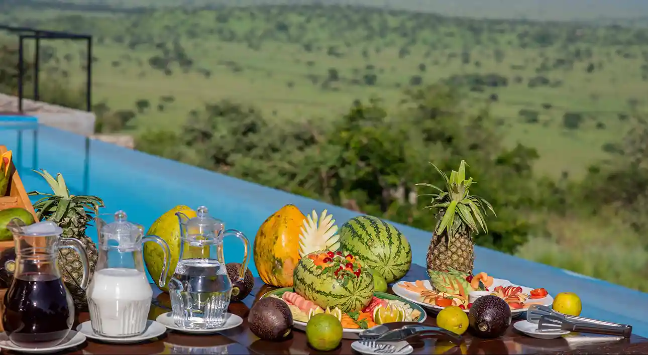 Serengeti Simba - Breakfast -36